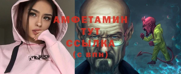 прущие грибы Горно-Алтайск