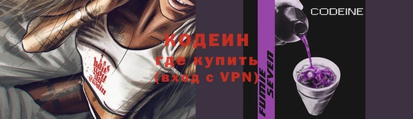 прущие грибы Горно-Алтайск
