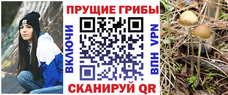 Псилоцибиновые грибы Magic Shrooms  Заволжск 